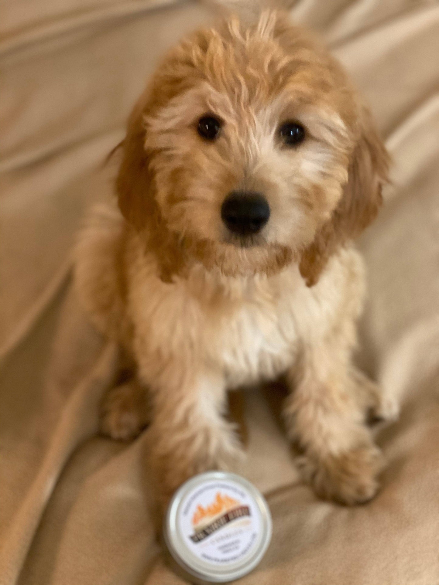 Puppy Breath Soy Candle