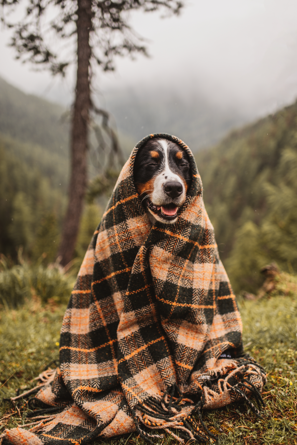 Vintage Plaid Hunter