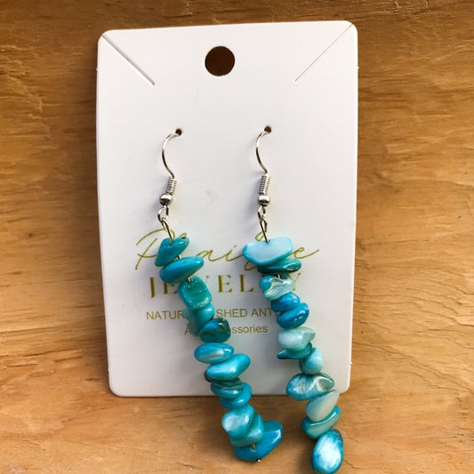 Blue stone Earrings